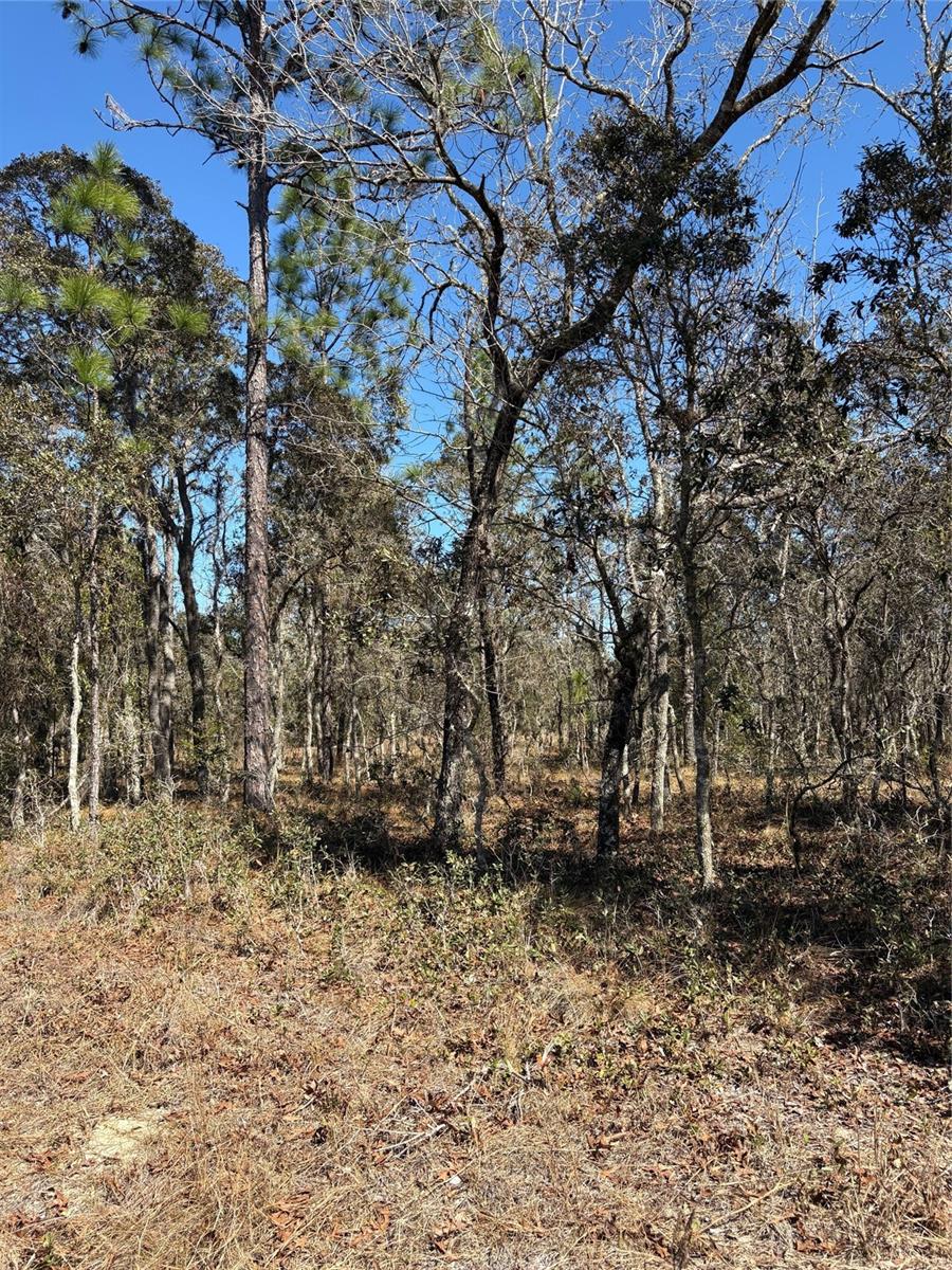 TBA SE 135TH CT, DUNNELLON, FL