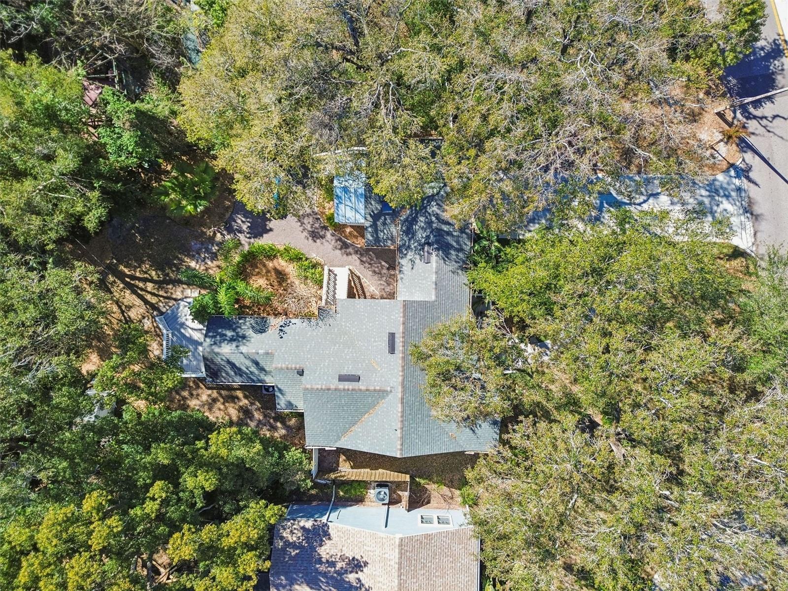 1003 E CLIFTON ST, TAMPA, FL — photo 33