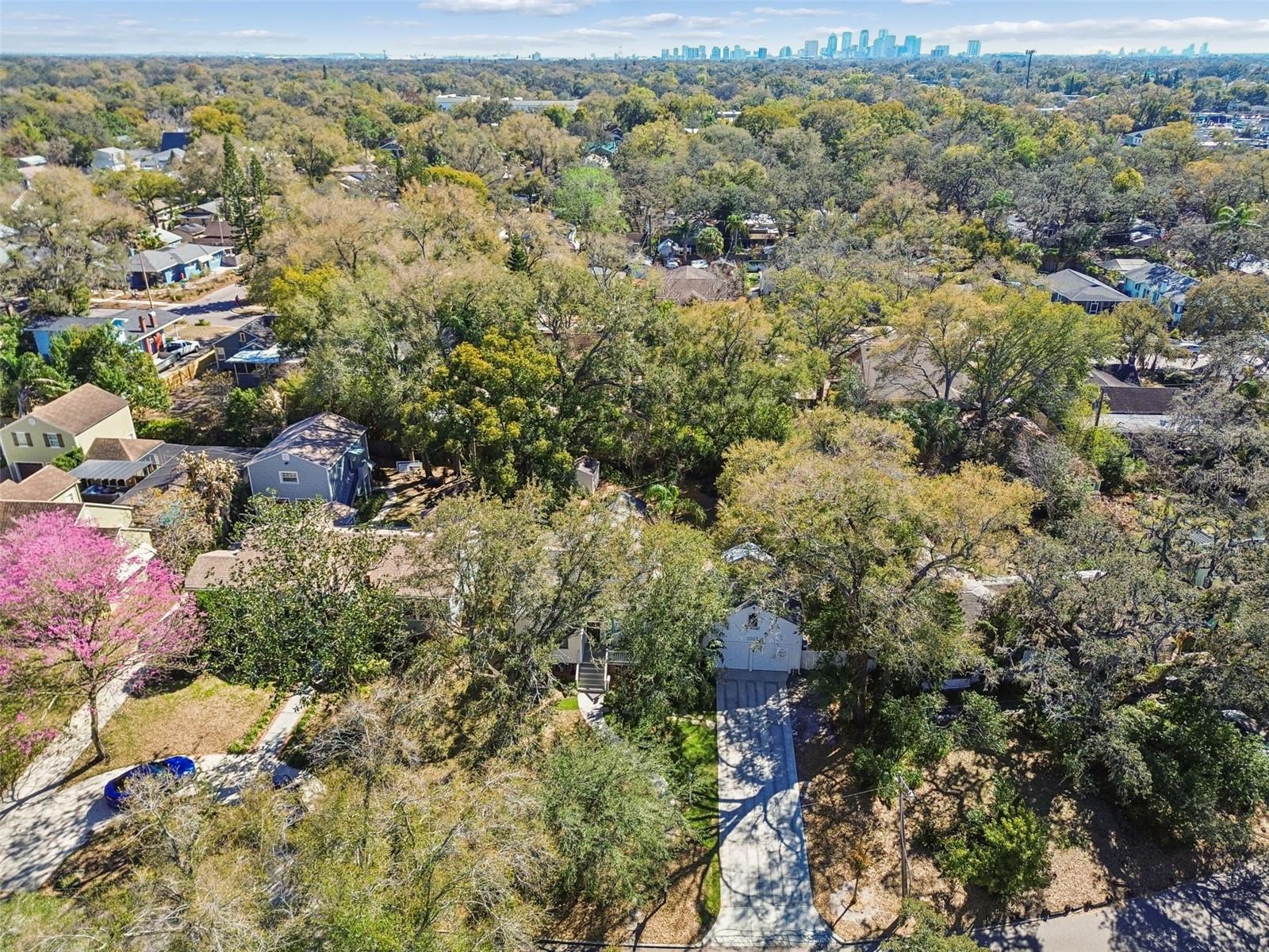 1003 E CLIFTON ST, TAMPA, FL — photo 34