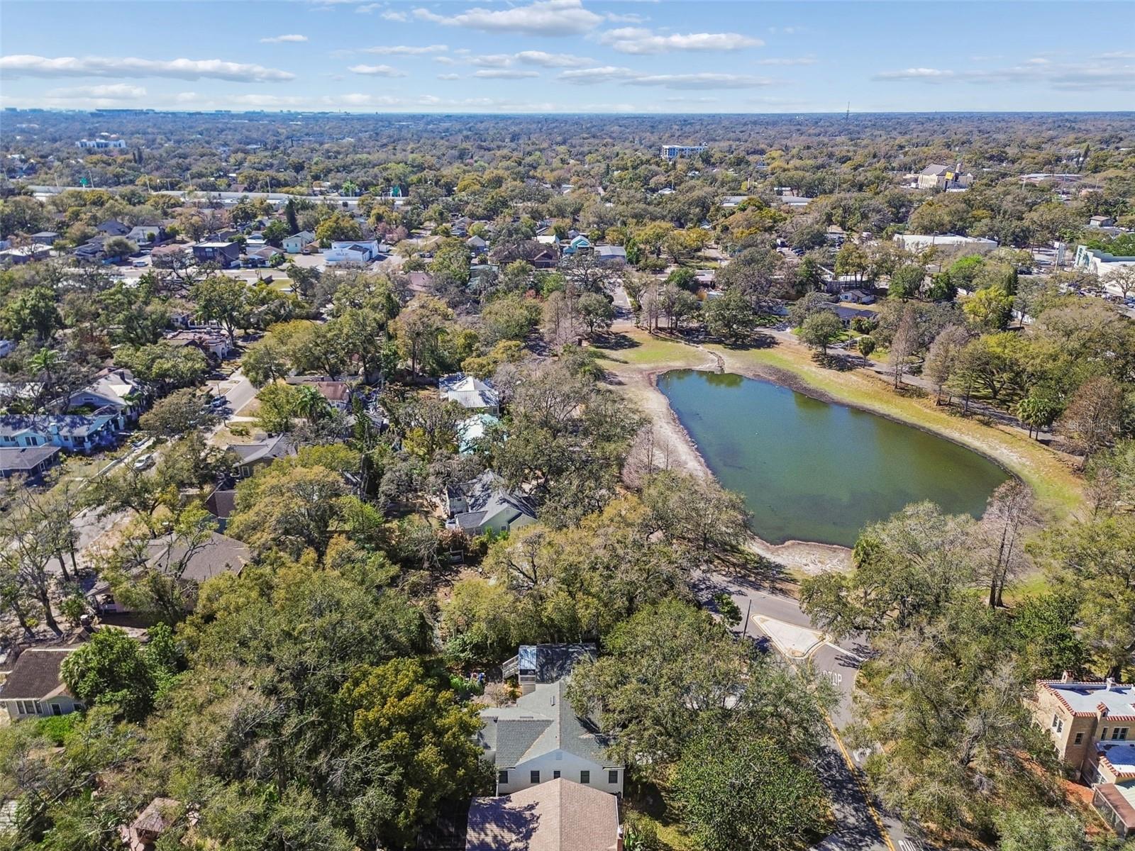 1003 E CLIFTON ST, TAMPA, FL — photo 35