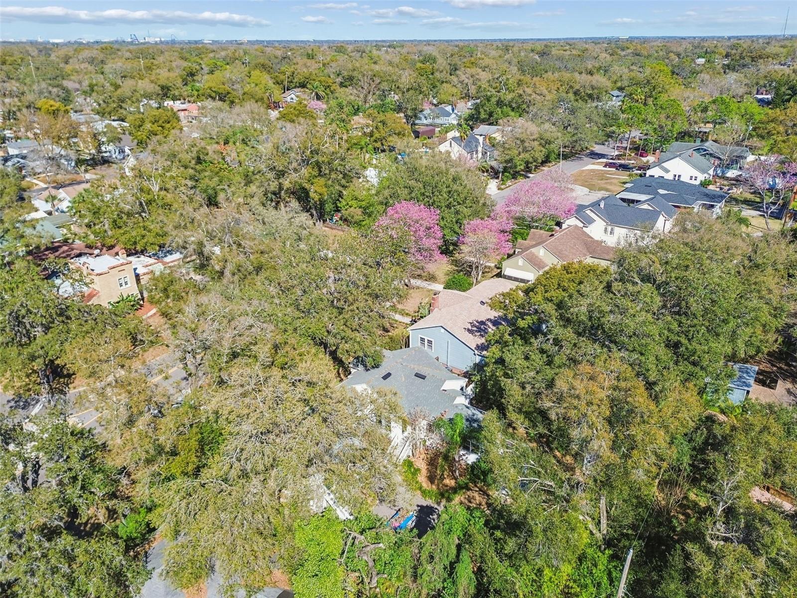 1003 E CLIFTON ST, TAMPA, FL — photo 36