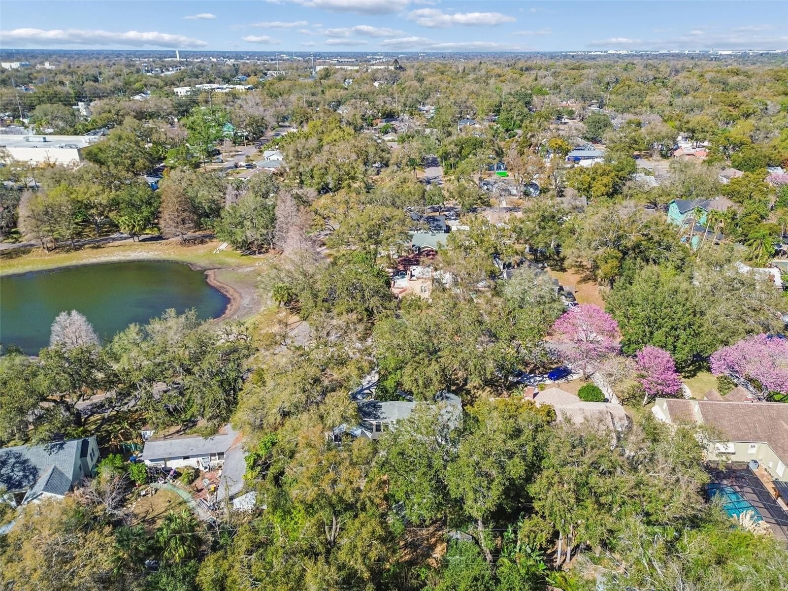 1003 E CLIFTON ST, TAMPA, FL — photo 37