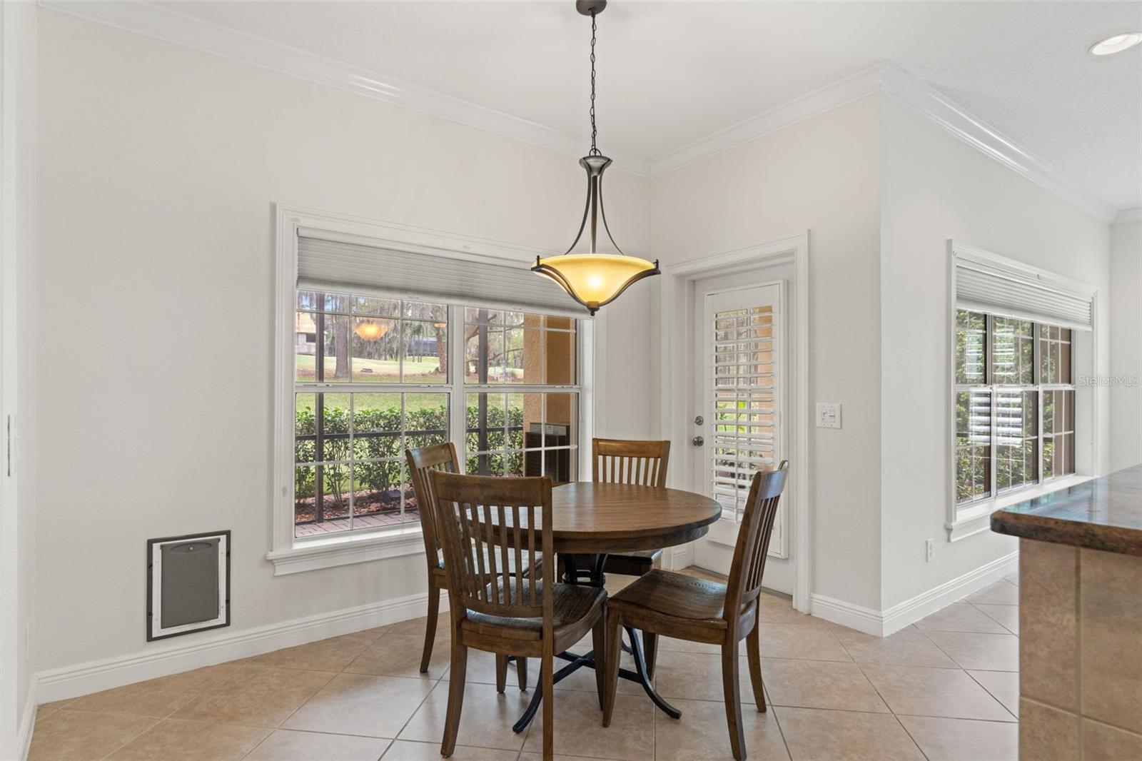 19571 LILY POND CT, BROOKSVILLE, FL — photo 49