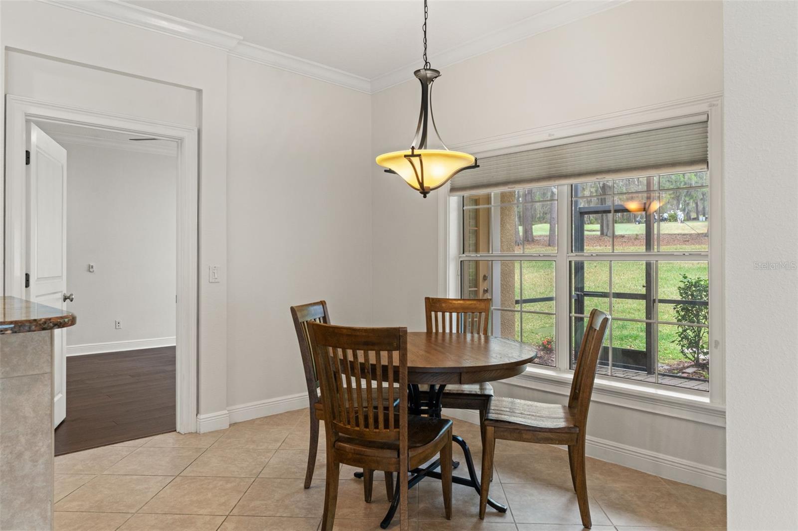 19571 LILY POND CT, BROOKSVILLE, FL — photo 50