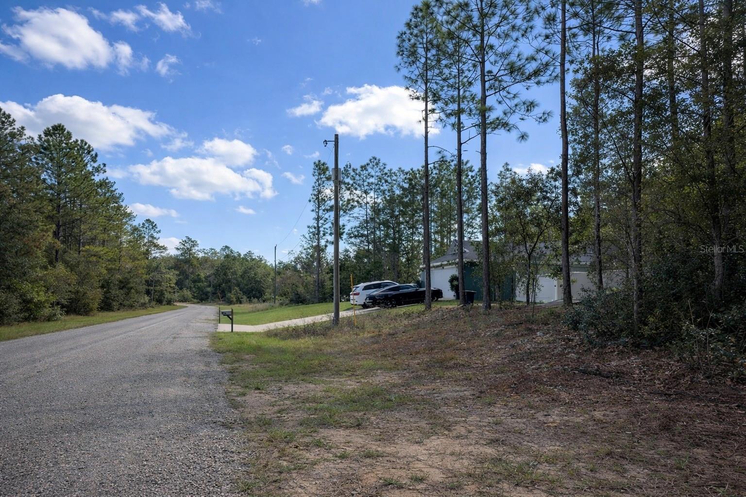 602 E NEMO DR, DUNNELLON, FL — photo 3