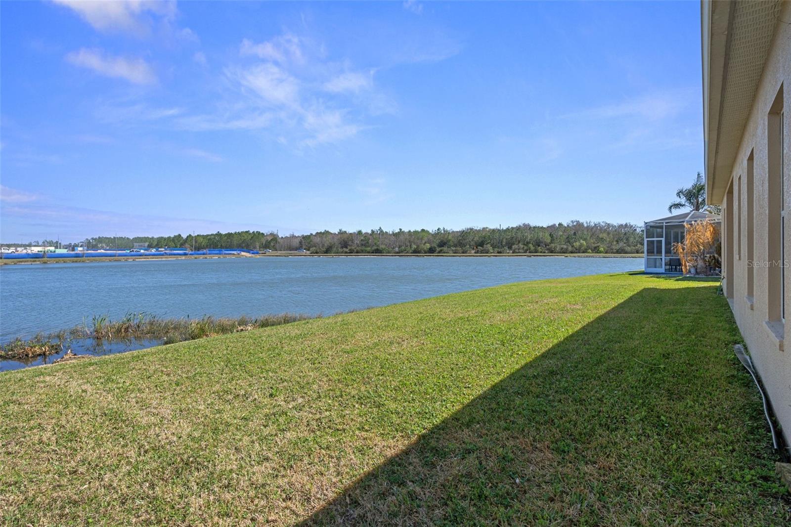 4206 WINDCREST DR, WESLEY CHAPEL, FL — photo 59