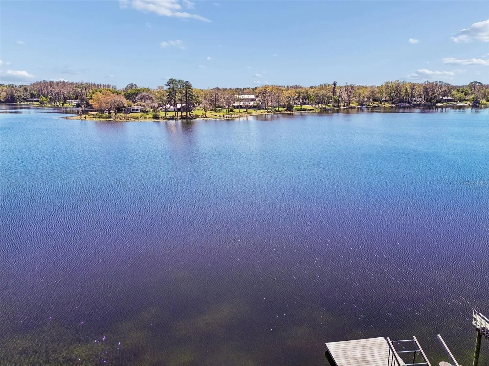 16515 LAKE CHURCH DR, ODESSA, FL — photo 32