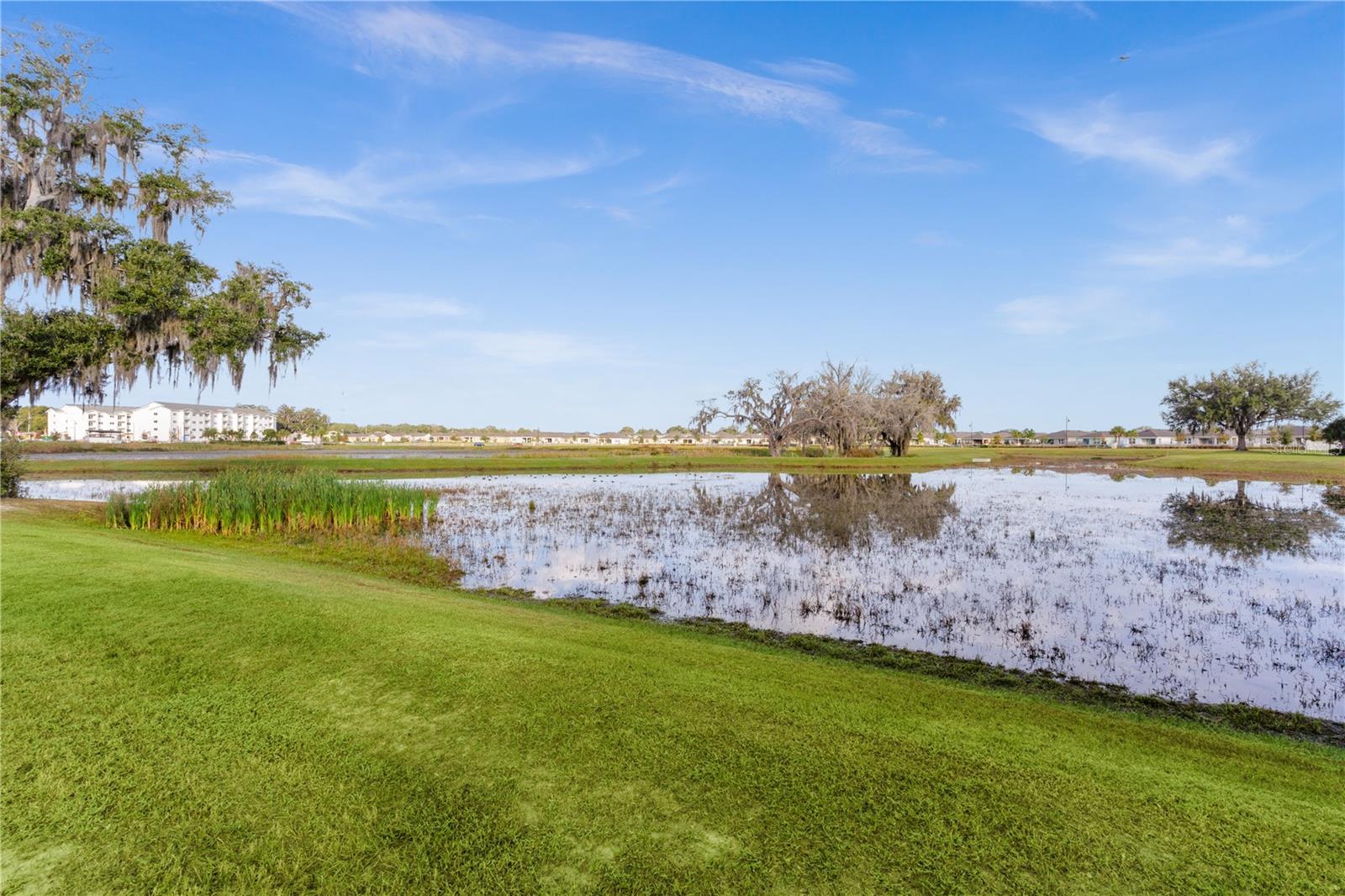 5322 DRAGON FLY DR, WILDWOOD, FL — photo 15
