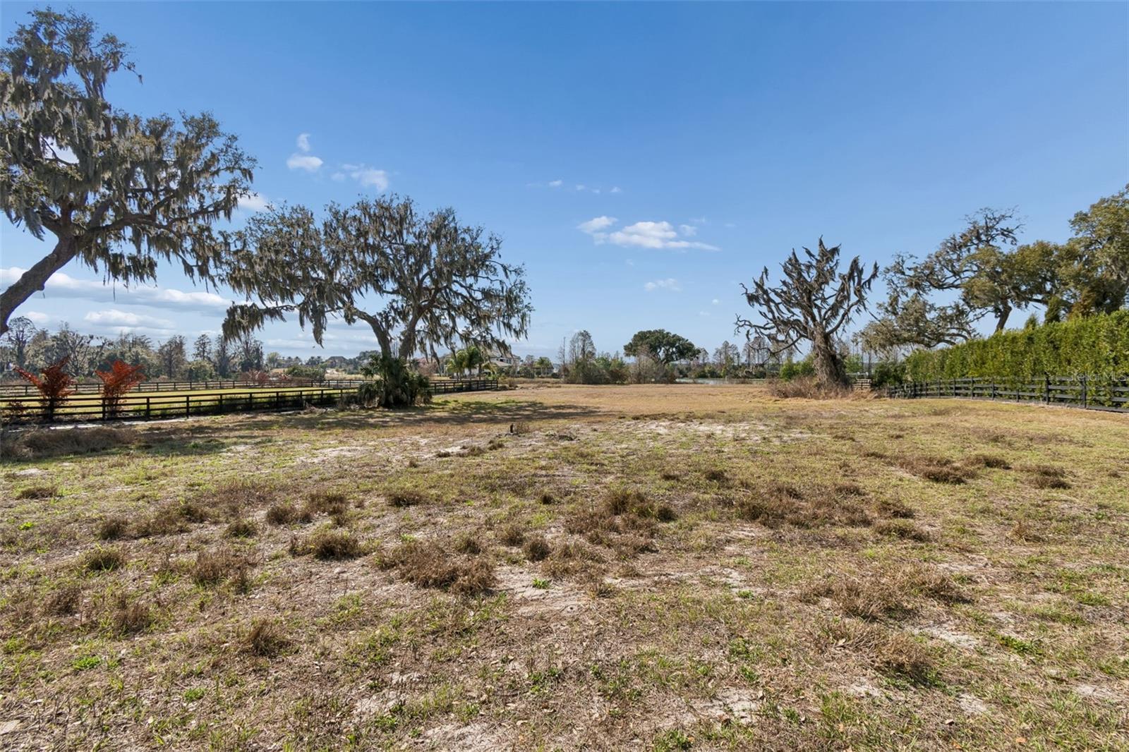 10718 OSPREY LANDING WAY, THONOTOSASSA, FL — photo 10