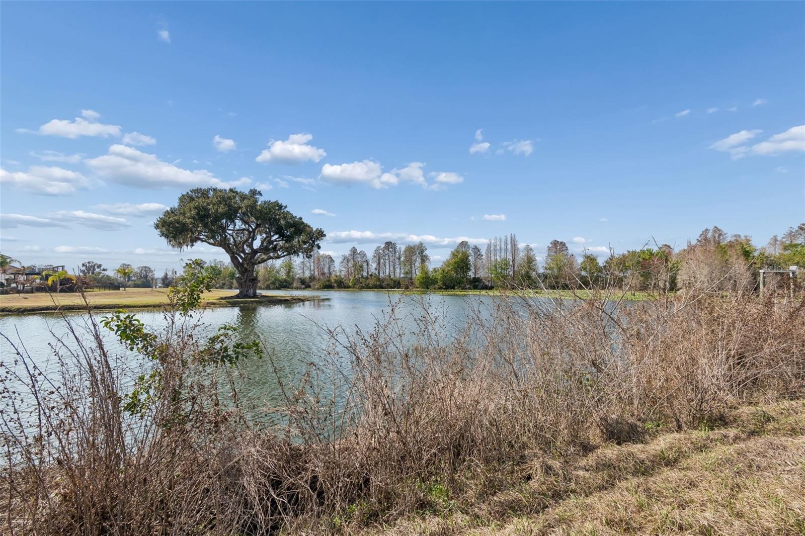 10718 OSPREY LANDING WAY, THONOTOSASSA, FL — photo 13