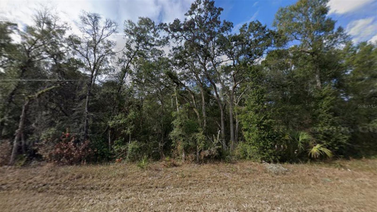 NW 85TH AVE, CHIEFLAND, FL