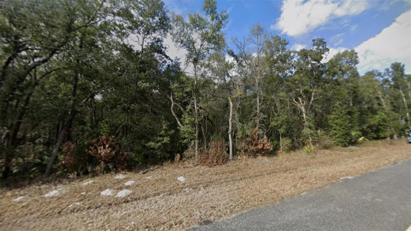 NW 85TH AVE, CHIEFLAND, FL — photo 2