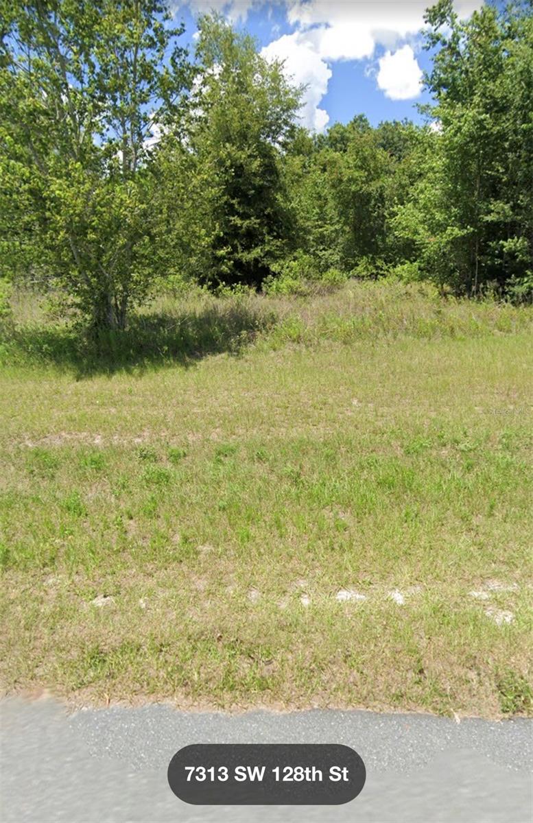 SW 128 ST, OCALA, FL