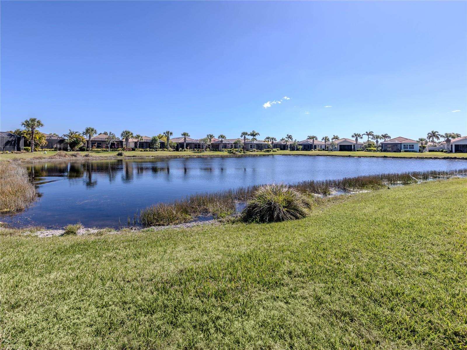 254 MESTRE PL, NORTH VENICE, FL — photo 6
