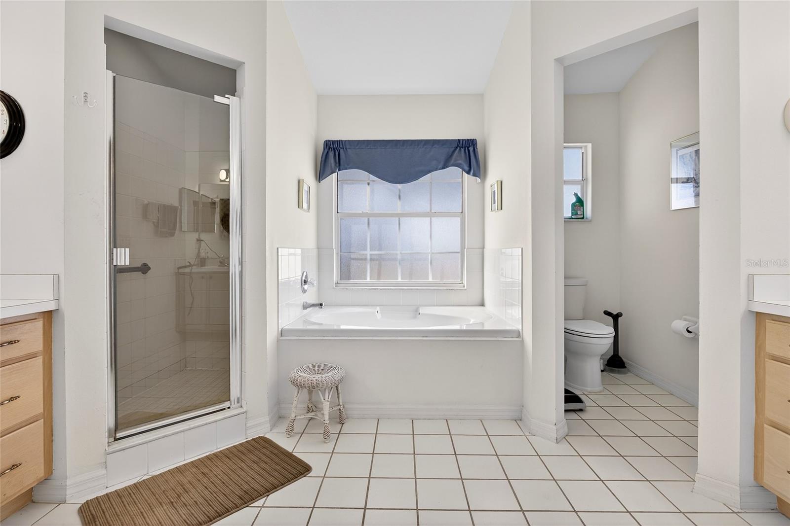 25113 RIVERWALK DR, LEESBURG, FL — photo 41