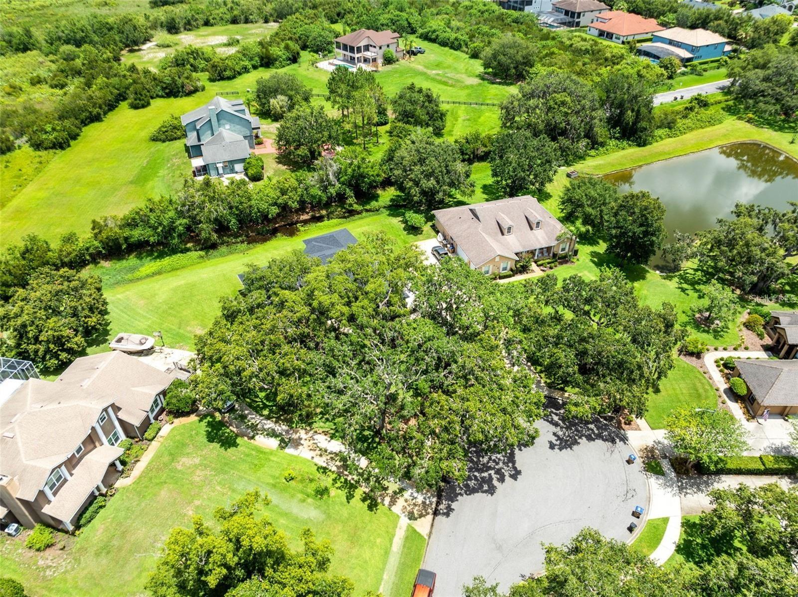 5204 HAMMOCK POINTE CT, ST CLOUD, FL — photo 8