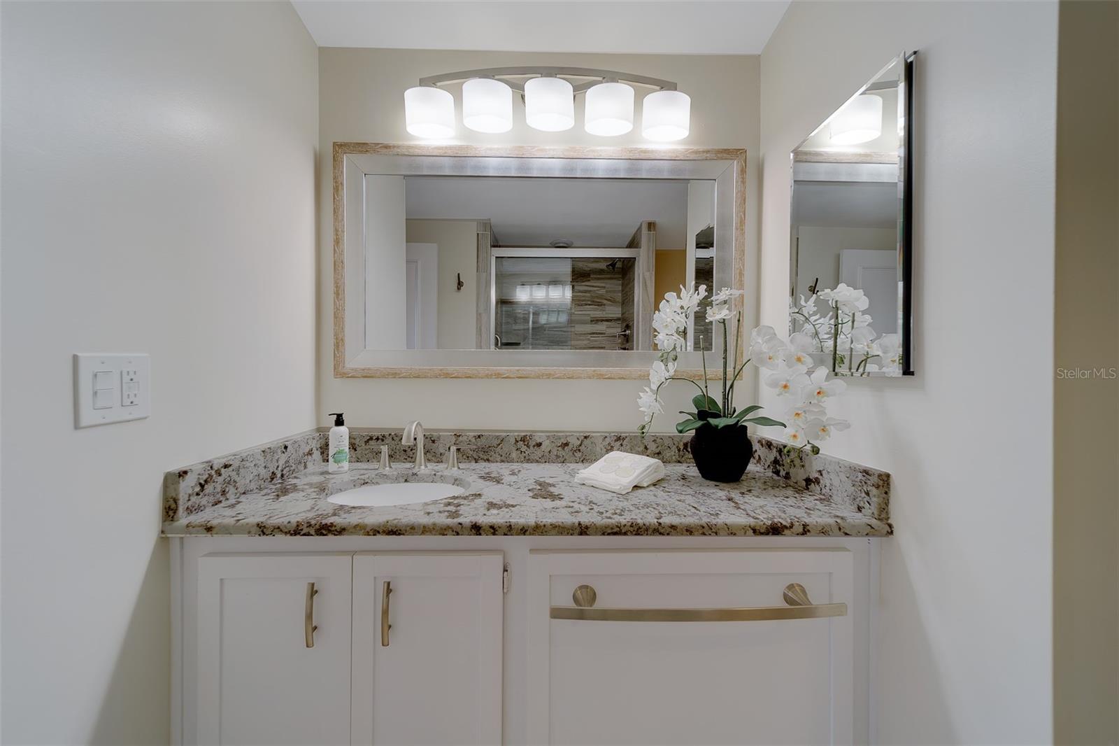 8 BELLEVIEW BLVD #308, BELLEAIR, FL — photo 49