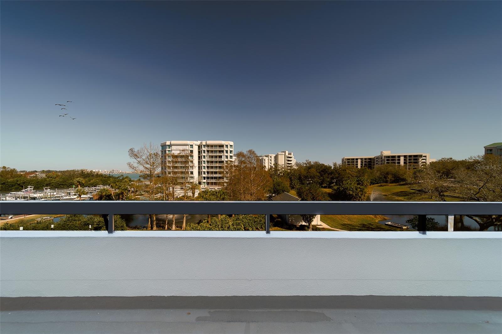 8 BELLEVIEW BLVD #308, BELLEAIR, FL — photo 53