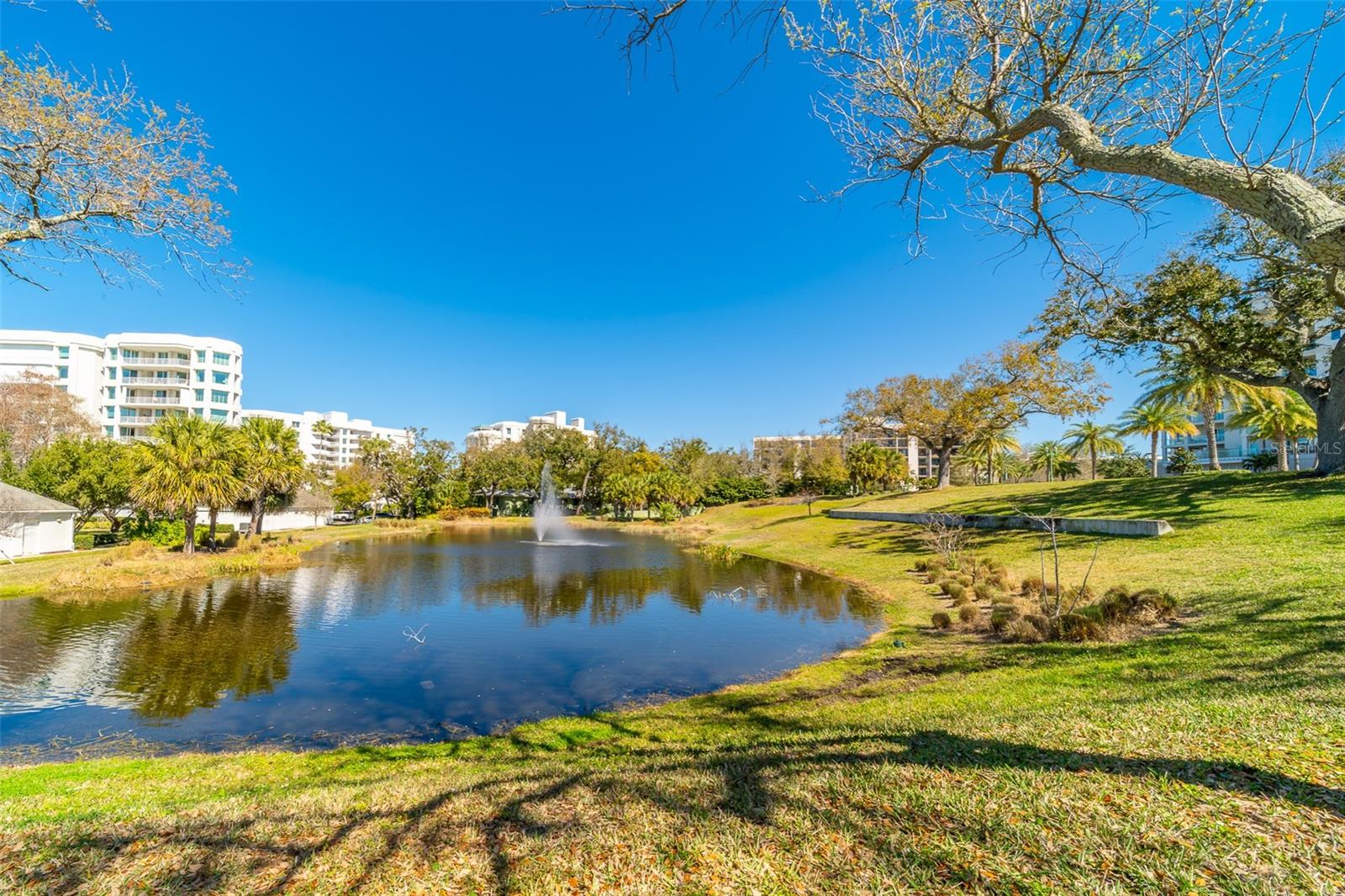 8 BELLEVIEW BLVD #308, BELLEAIR, FL — photo 84