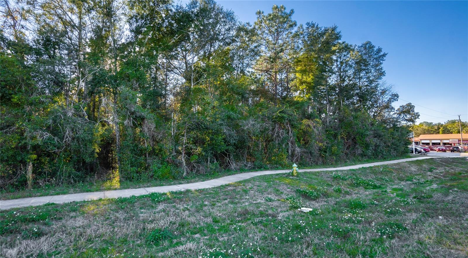 4164 W GULF TO LAKE HWY, LECANTO, FL
