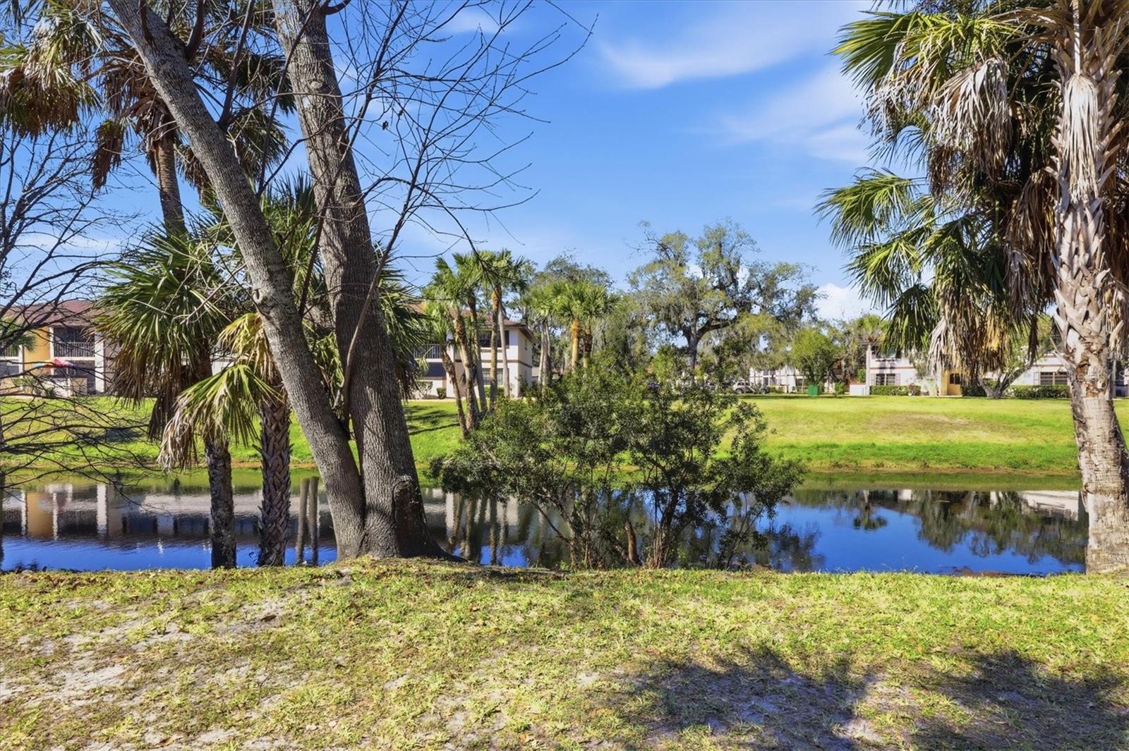 1515 FORREST NELSON BLVD #P105, PORT CHARLOTTE, FL — photo 25