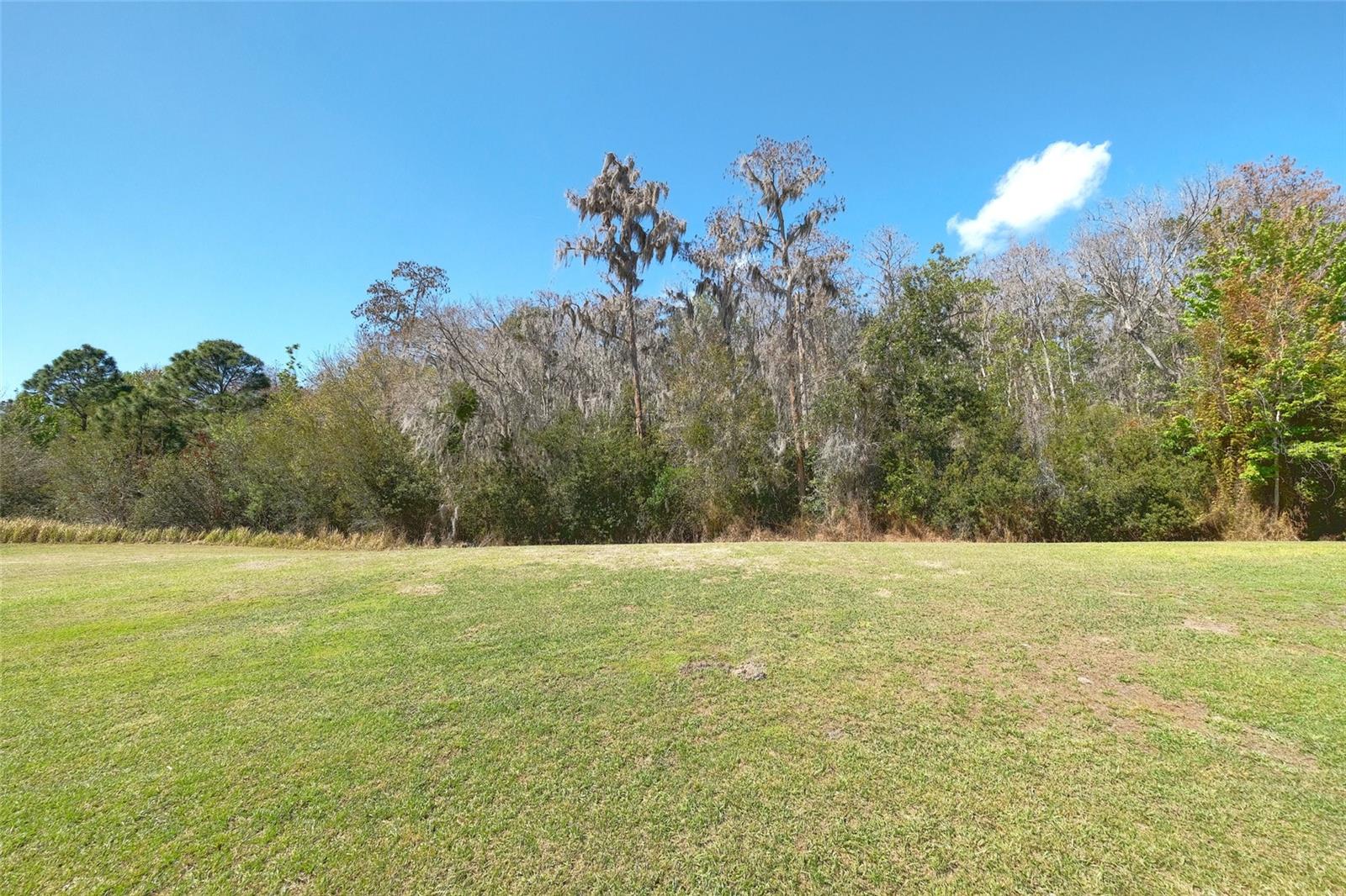 3081 AGOSTINO TER, KISSIMMEE, FL — photo 18