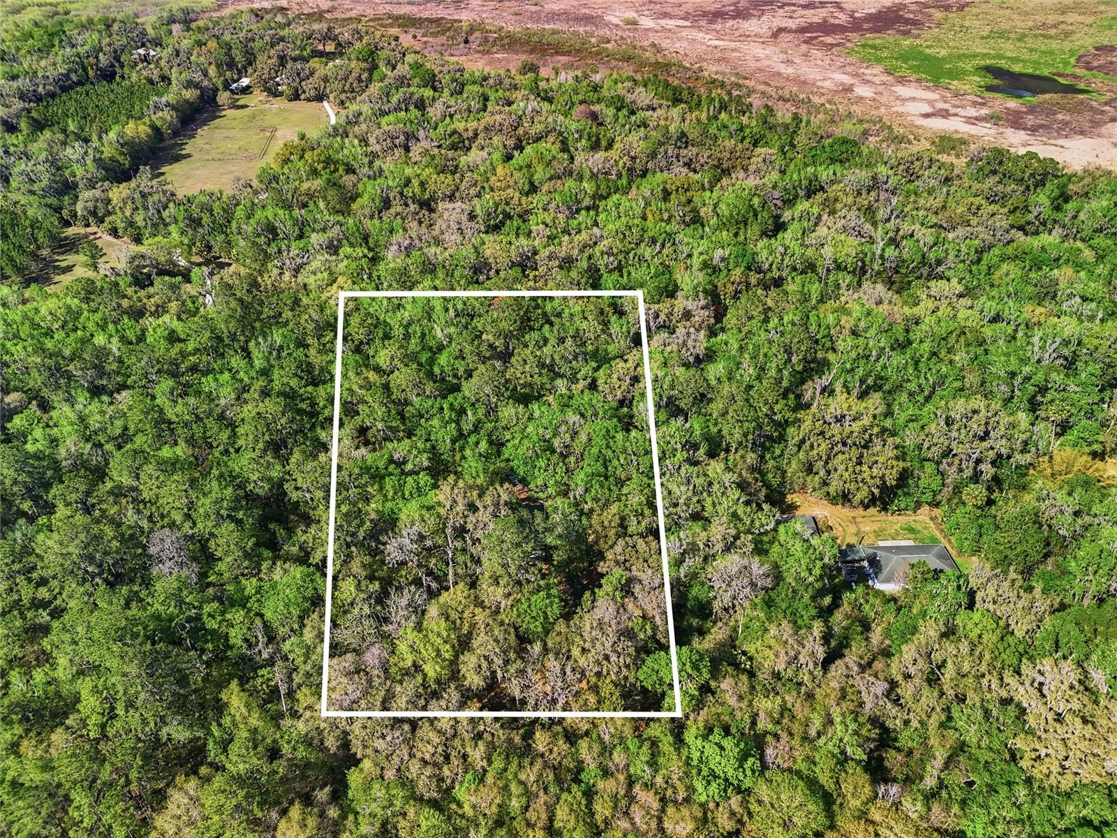 8856 NW 230TH ST, MICANOPY, FL — photo 29