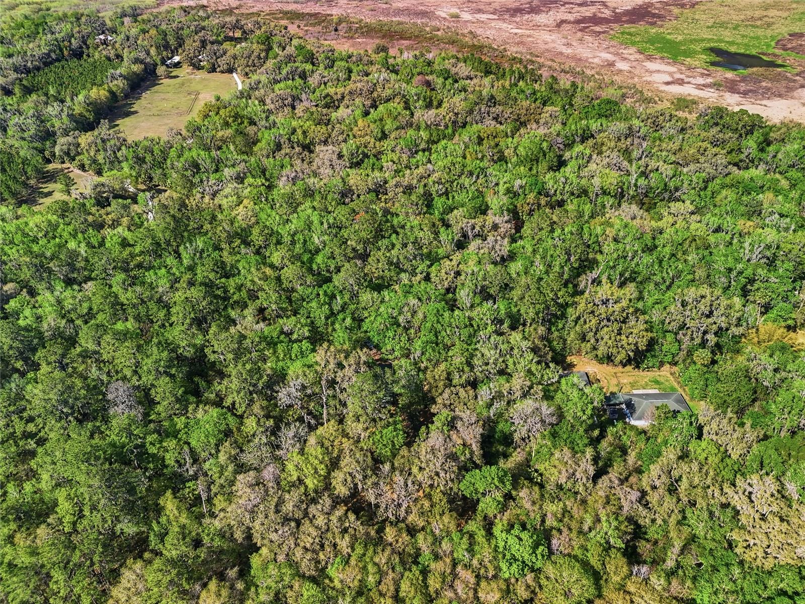 8856 NW 230TH ST, MICANOPY, FL — photo 30