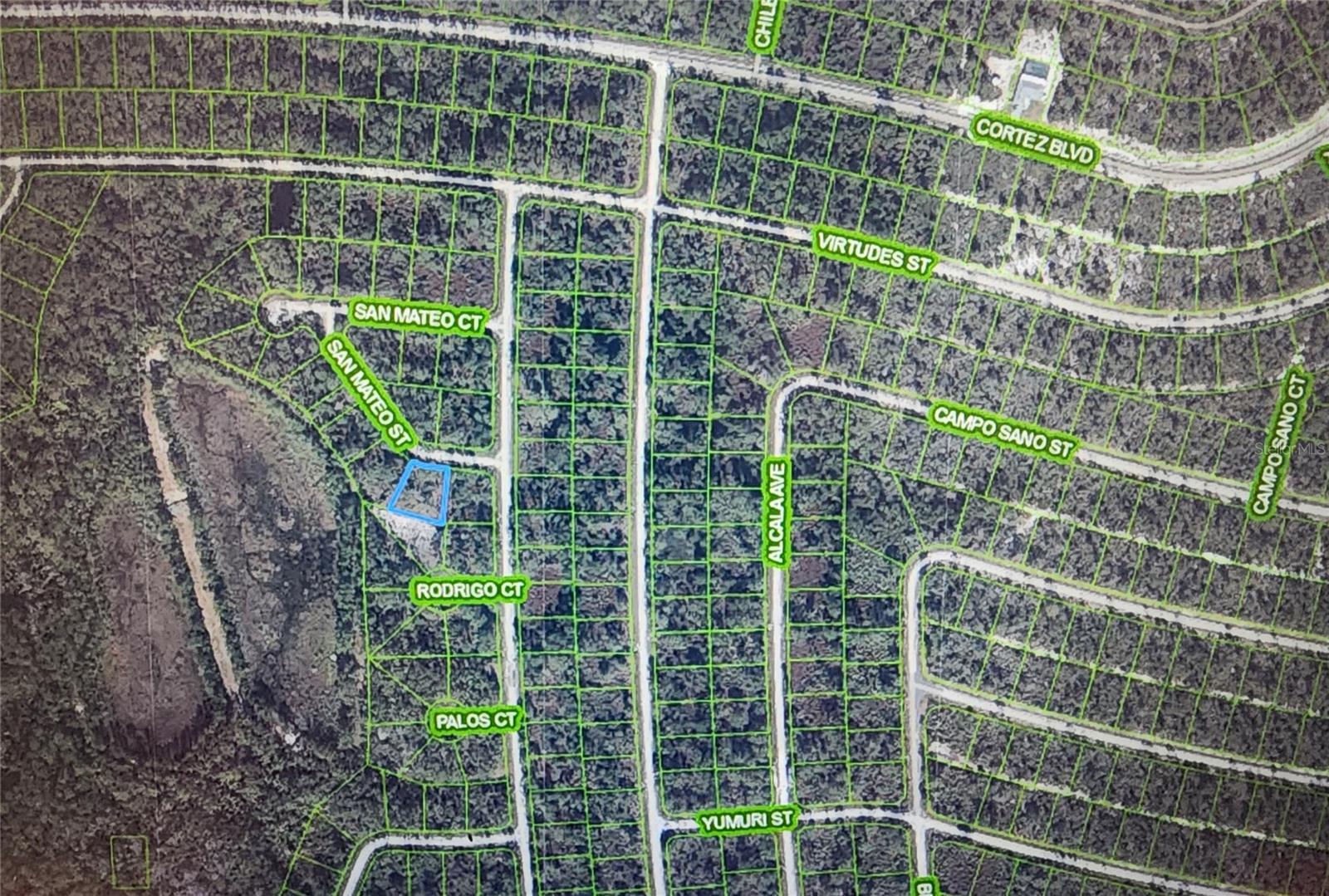 8674 SAN MATEO ST, SEBRING, FL — photo 3