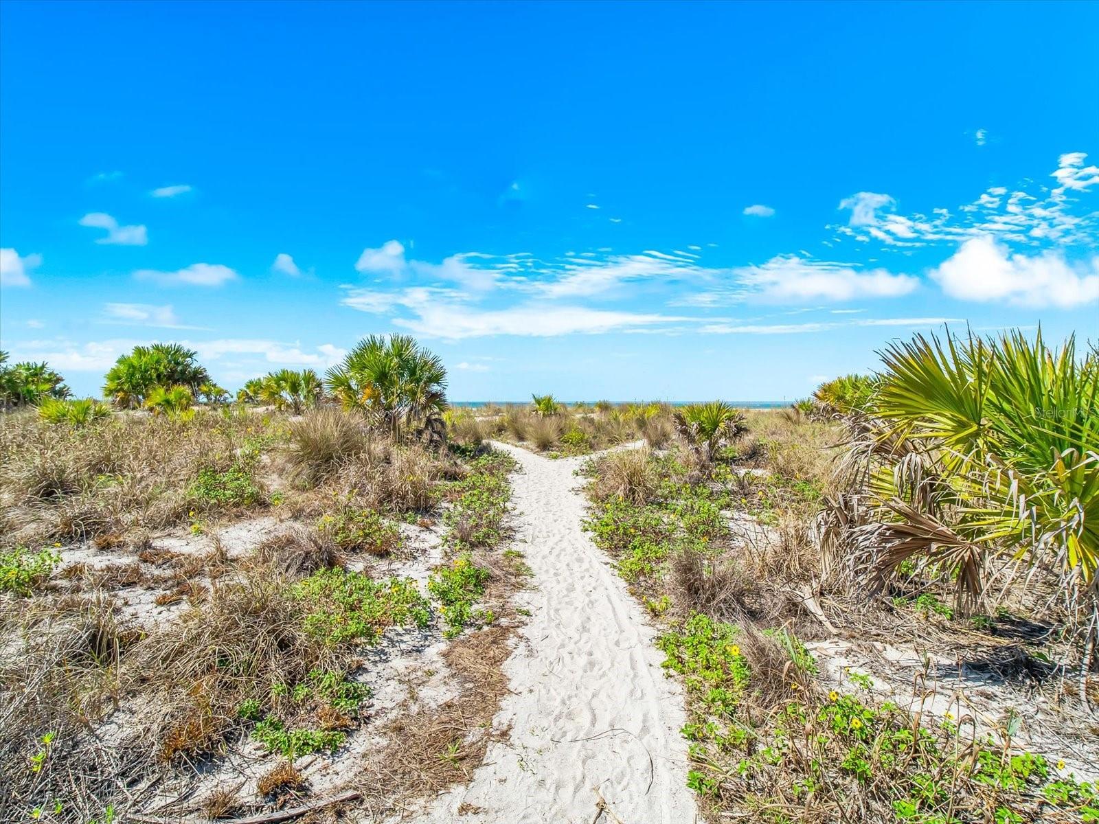 1180 GULF BLVD #1504, CLEARWATER, FL — photo 49