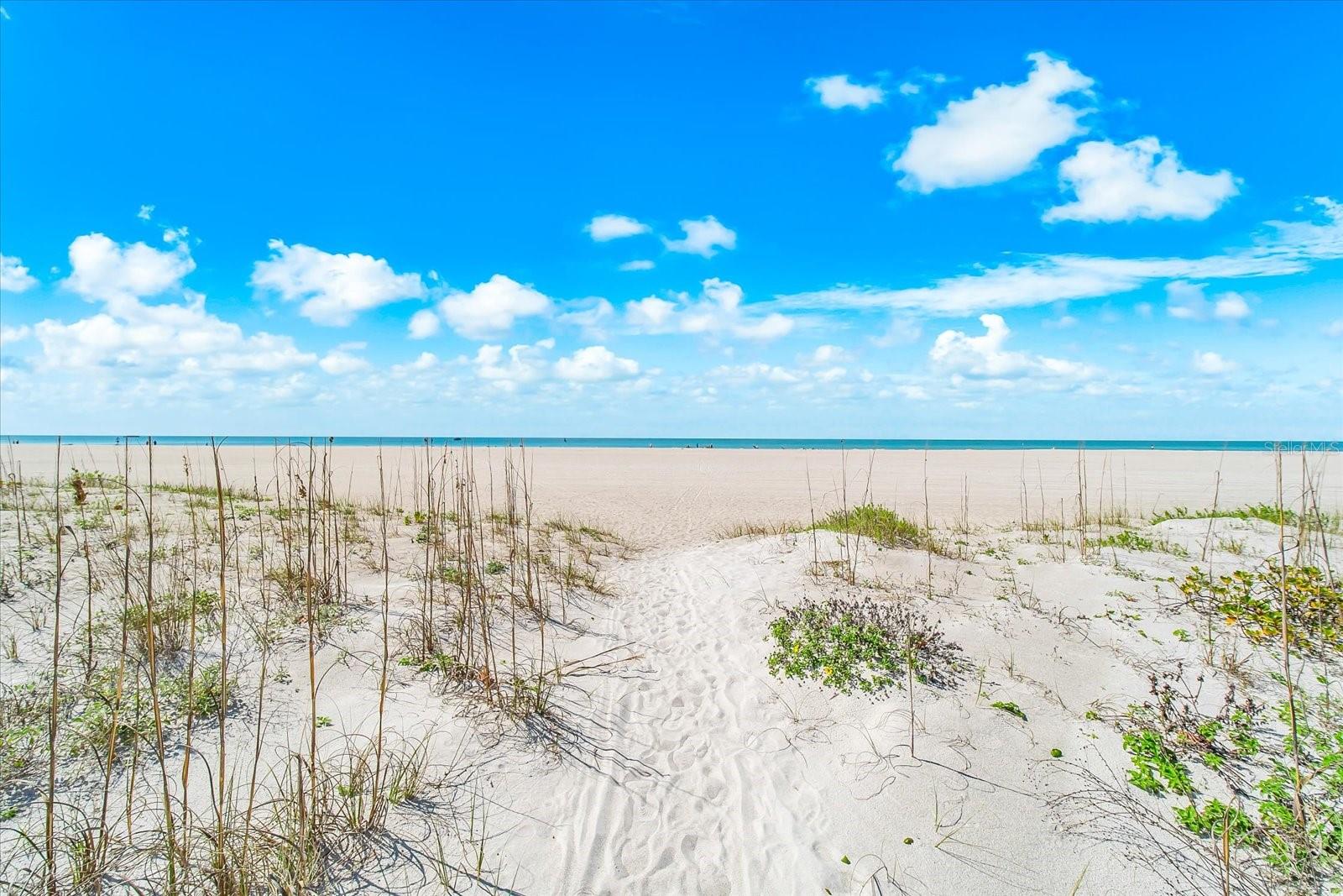 1180 GULF BLVD #1504, CLEARWATER, FL — photo 50