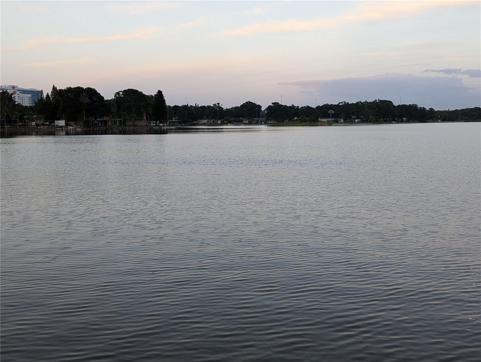 6517 WALTON WAY, TAMPA, FL — photo 8