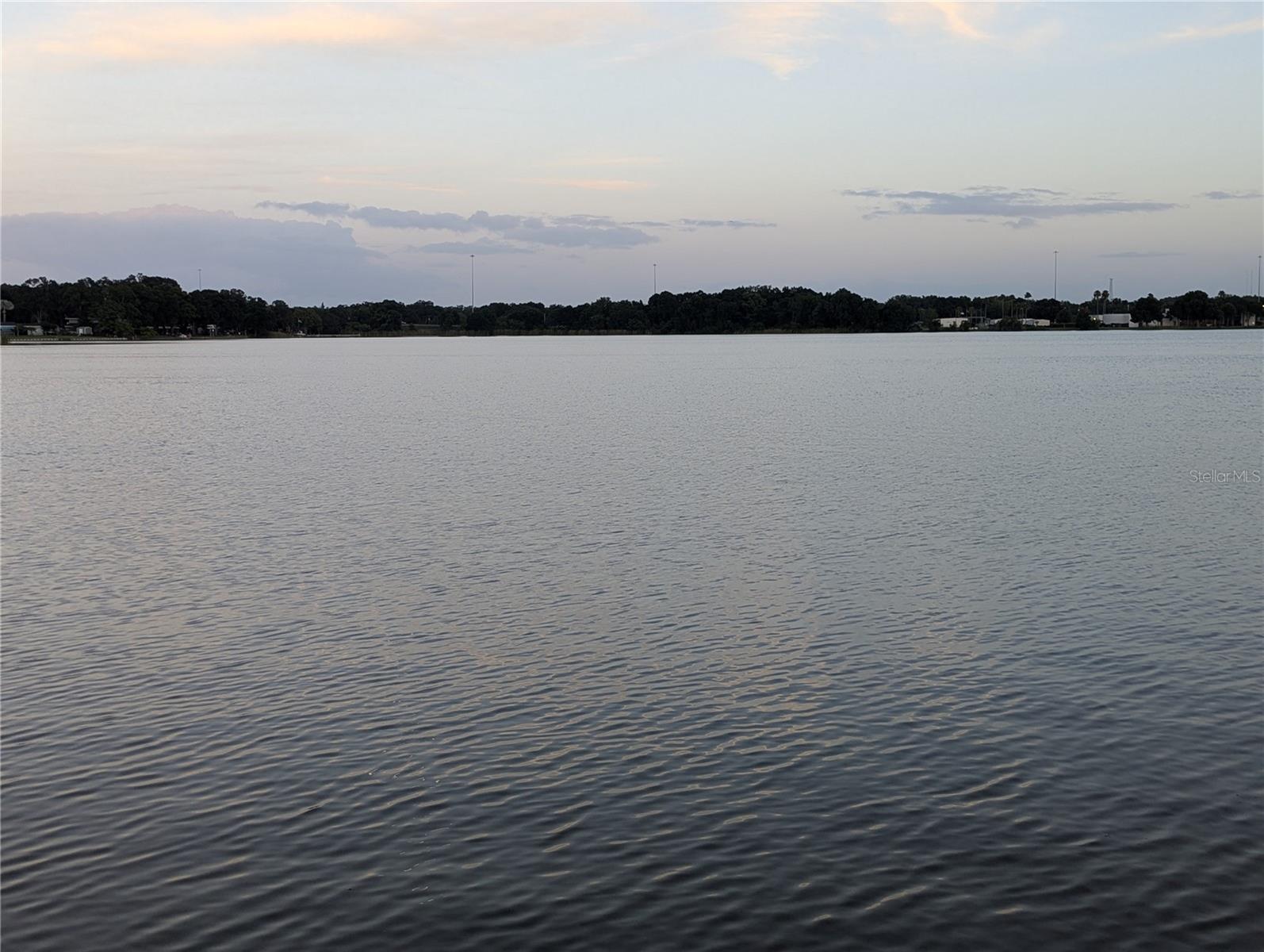 6517 WALTON WAY, TAMPA, FL — photo 9