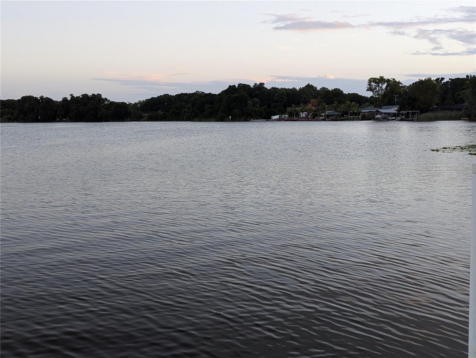6517 WALTON WAY, TAMPA, FL — photo 12