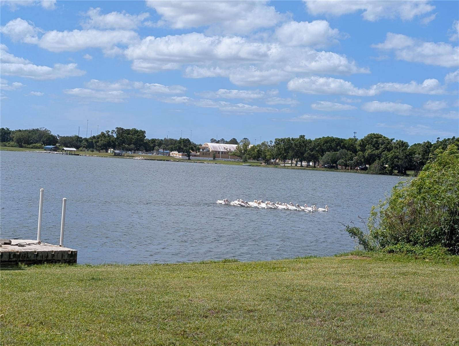 6517 WALTON WAY, TAMPA, FL — photo 48