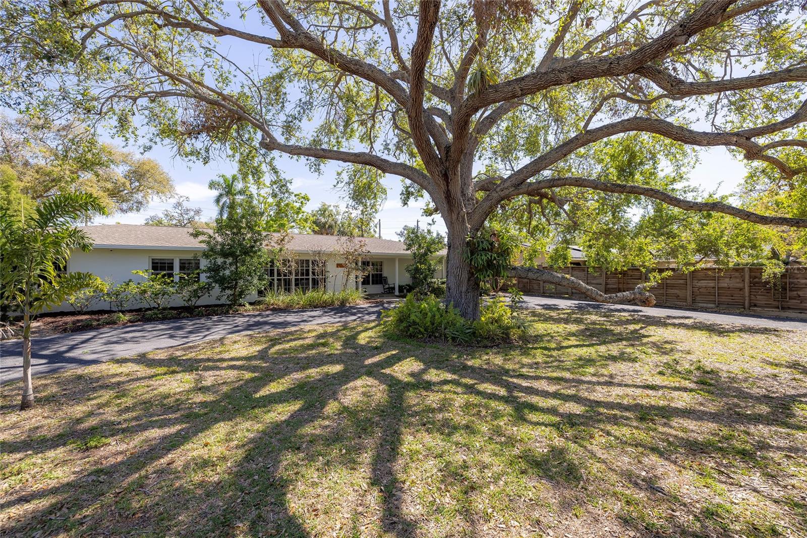 1433 PARK ST N, ST PETERSBURG, FL — photo 44