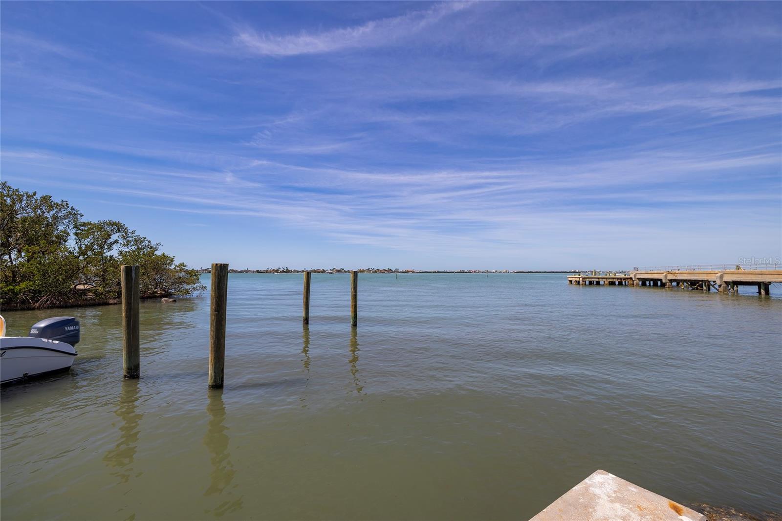 1433 PARK ST N, ST PETERSBURG, FL — photo 81
