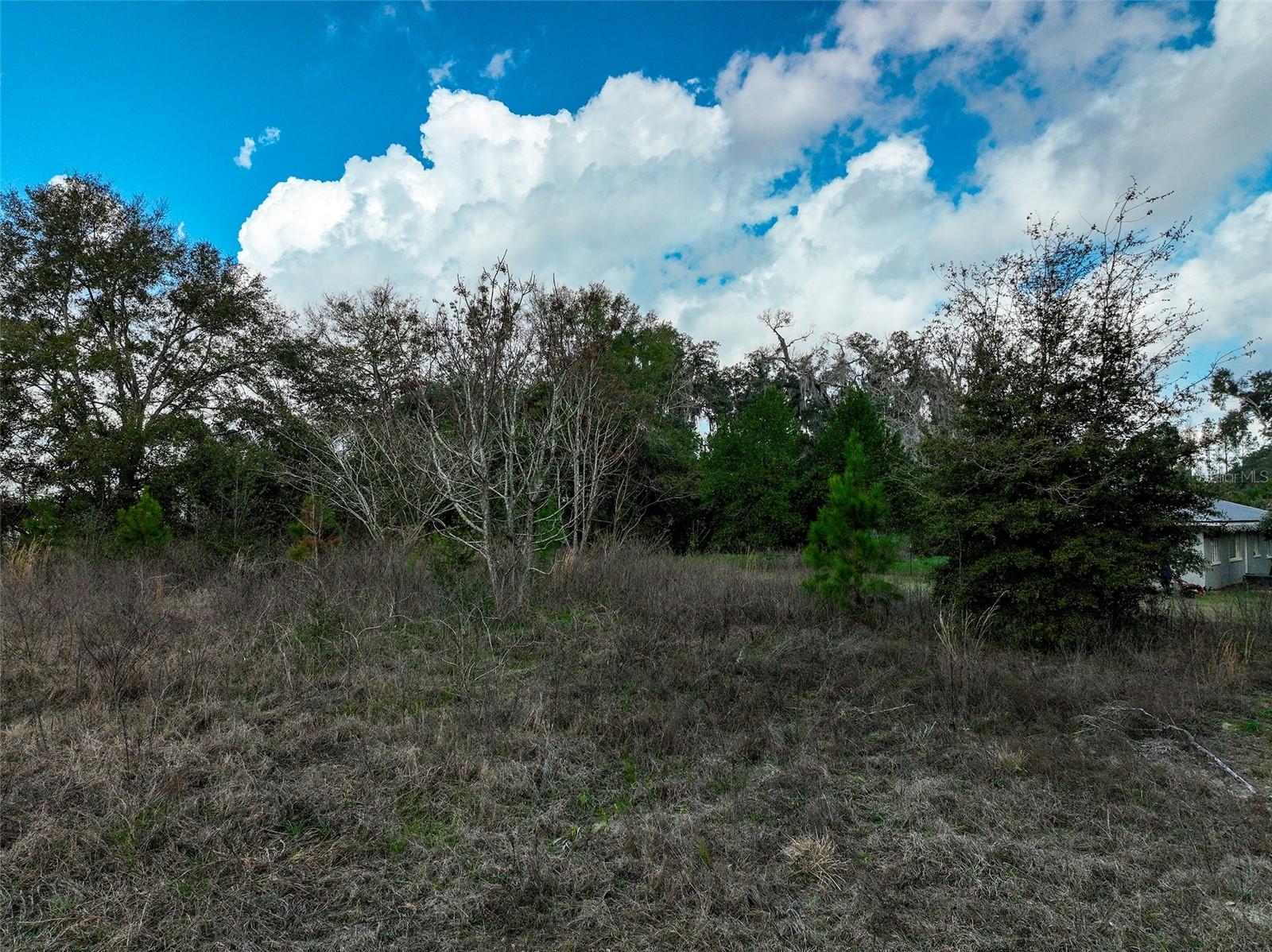 106 NW FAT CAT CT, LAKE CITY, FL — photo 16