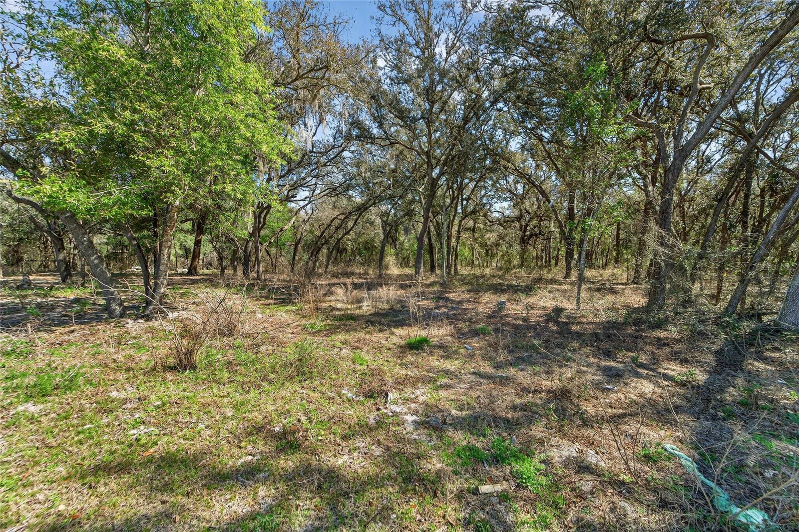 35238 MANUEL ST, WEBSTER, FL — photo 4