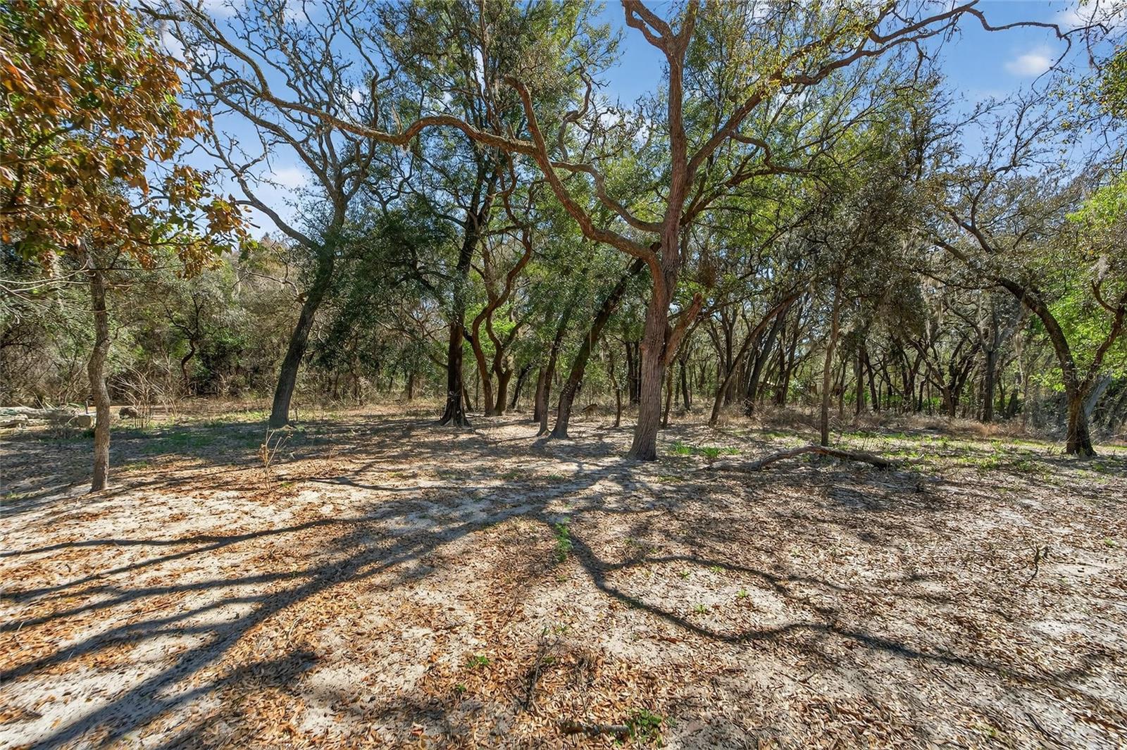 35238 MANUEL ST, WEBSTER, FL — photo 49