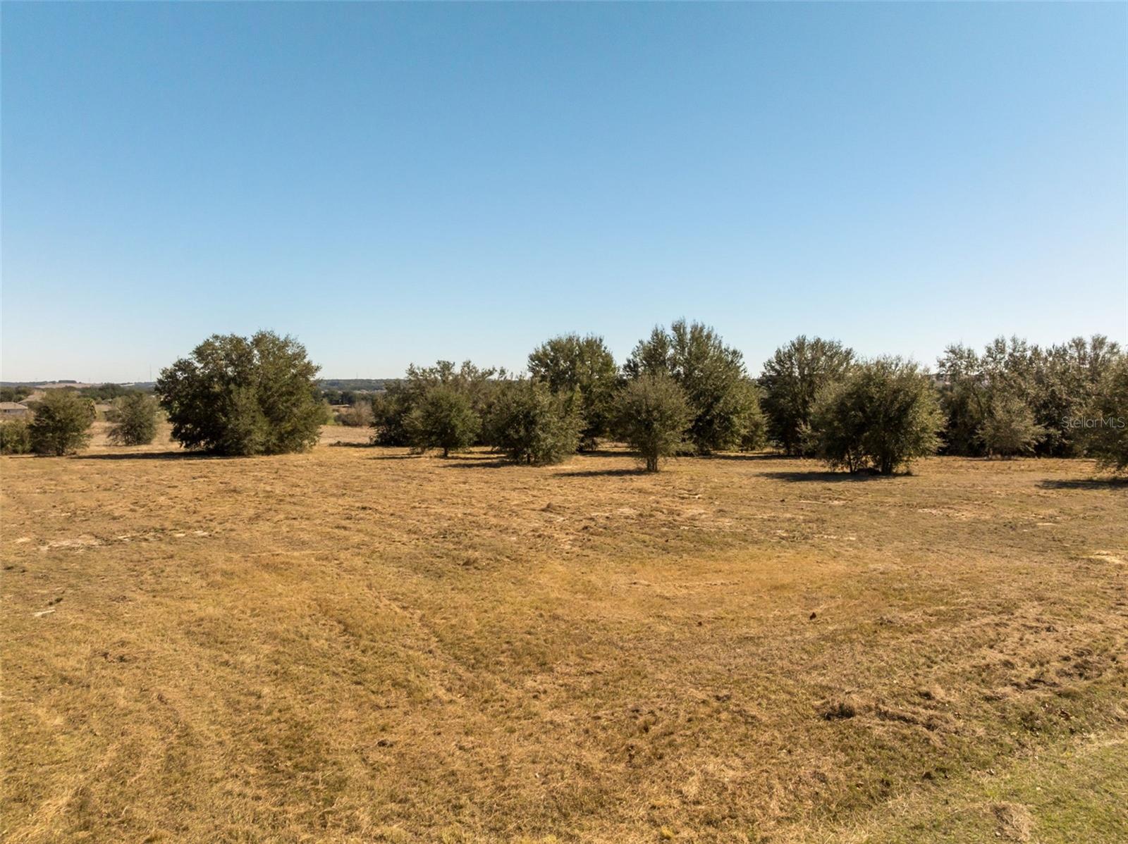 STARCREST LN, MINNEOLA, FL — photo 22