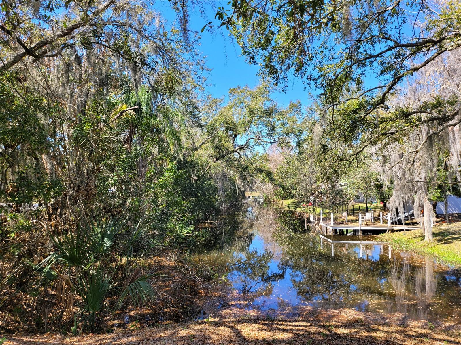 6606 SAWYER SHORES LN, WINDERMERE, FL — photo 19