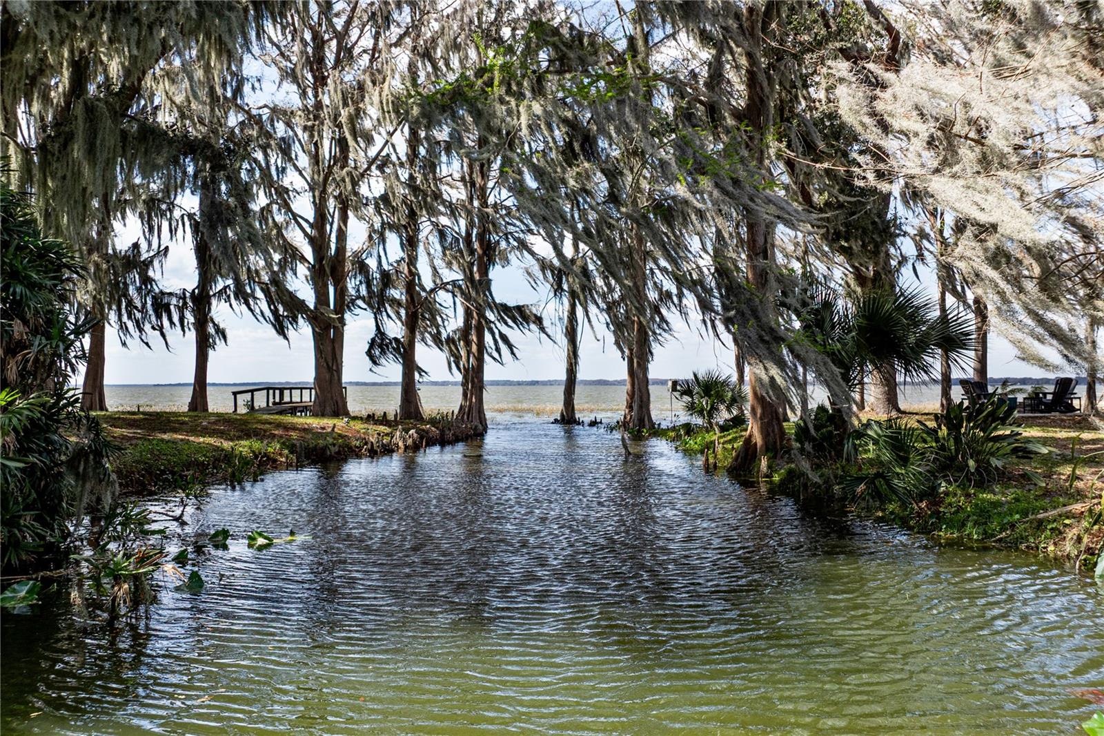 11322 DEAD RIVER RD, TAVARES, FL — photo 22