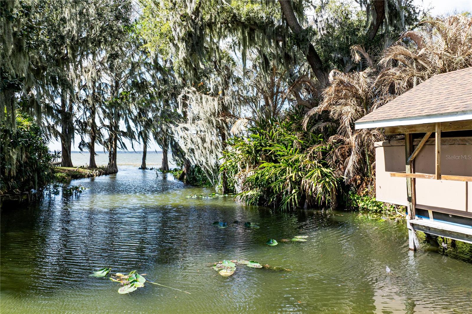 11322 DEAD RIVER RD, TAVARES, FL — photo 111