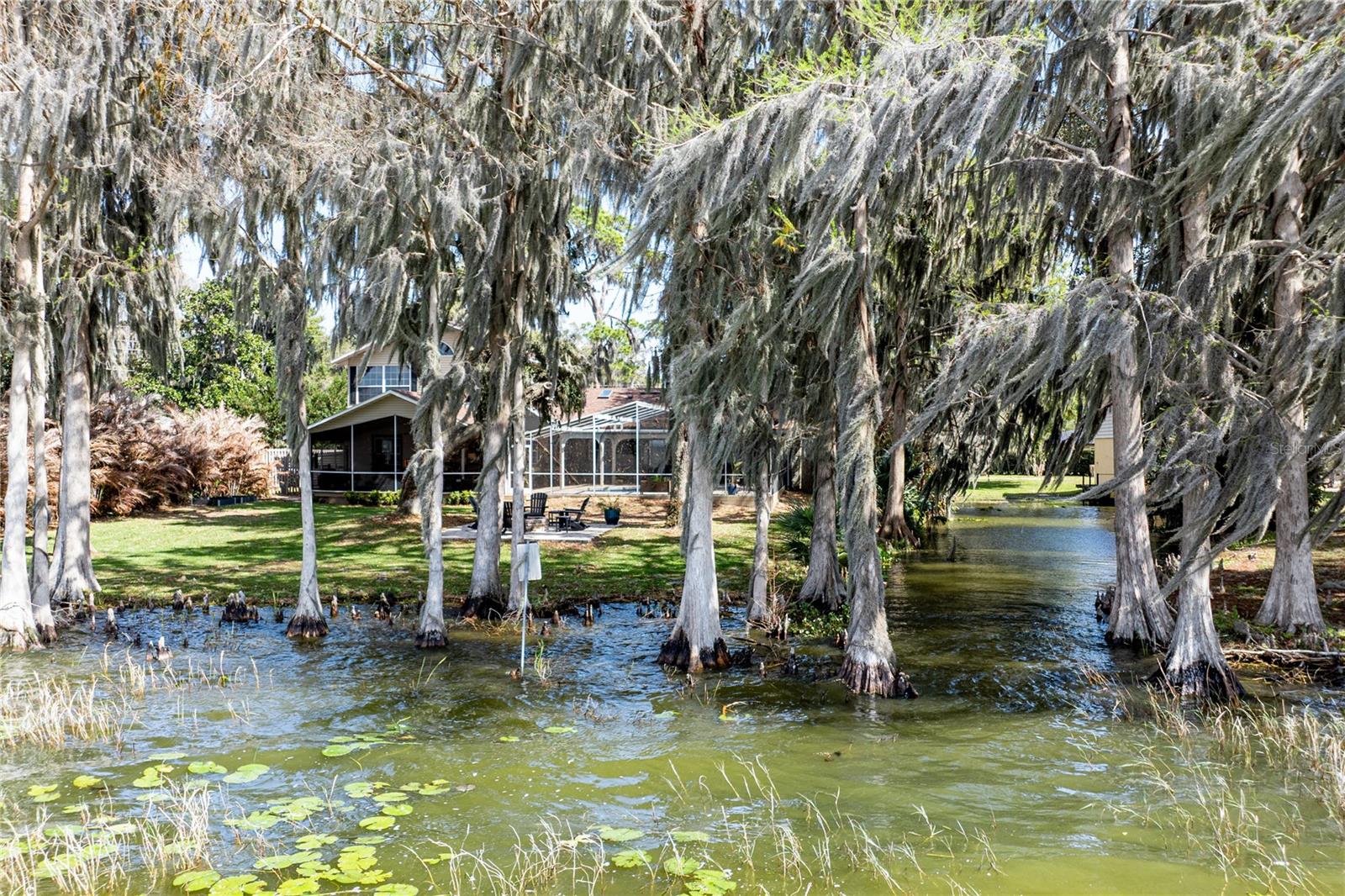 11322 DEAD RIVER RD, TAVARES, FL — photo 123