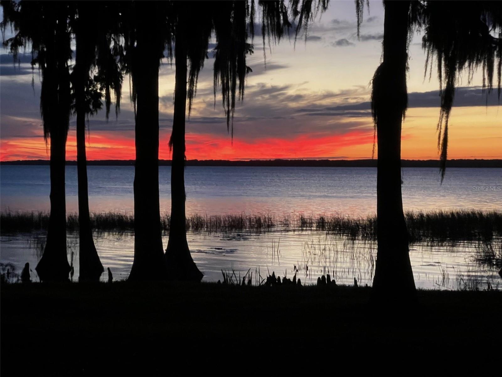 11322 DEAD RIVER RD, TAVARES, FL — photo 4