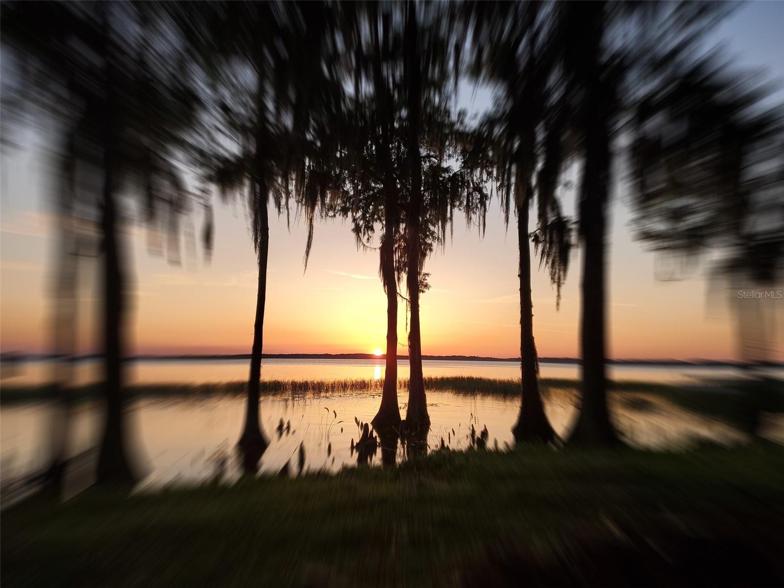 11322 DEAD RIVER RD, TAVARES, FL — photo 143