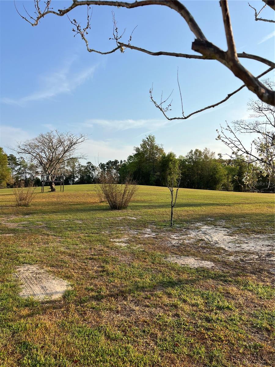 7650 NE 40TH ST, HIGH SPRINGS, FL — photo 78