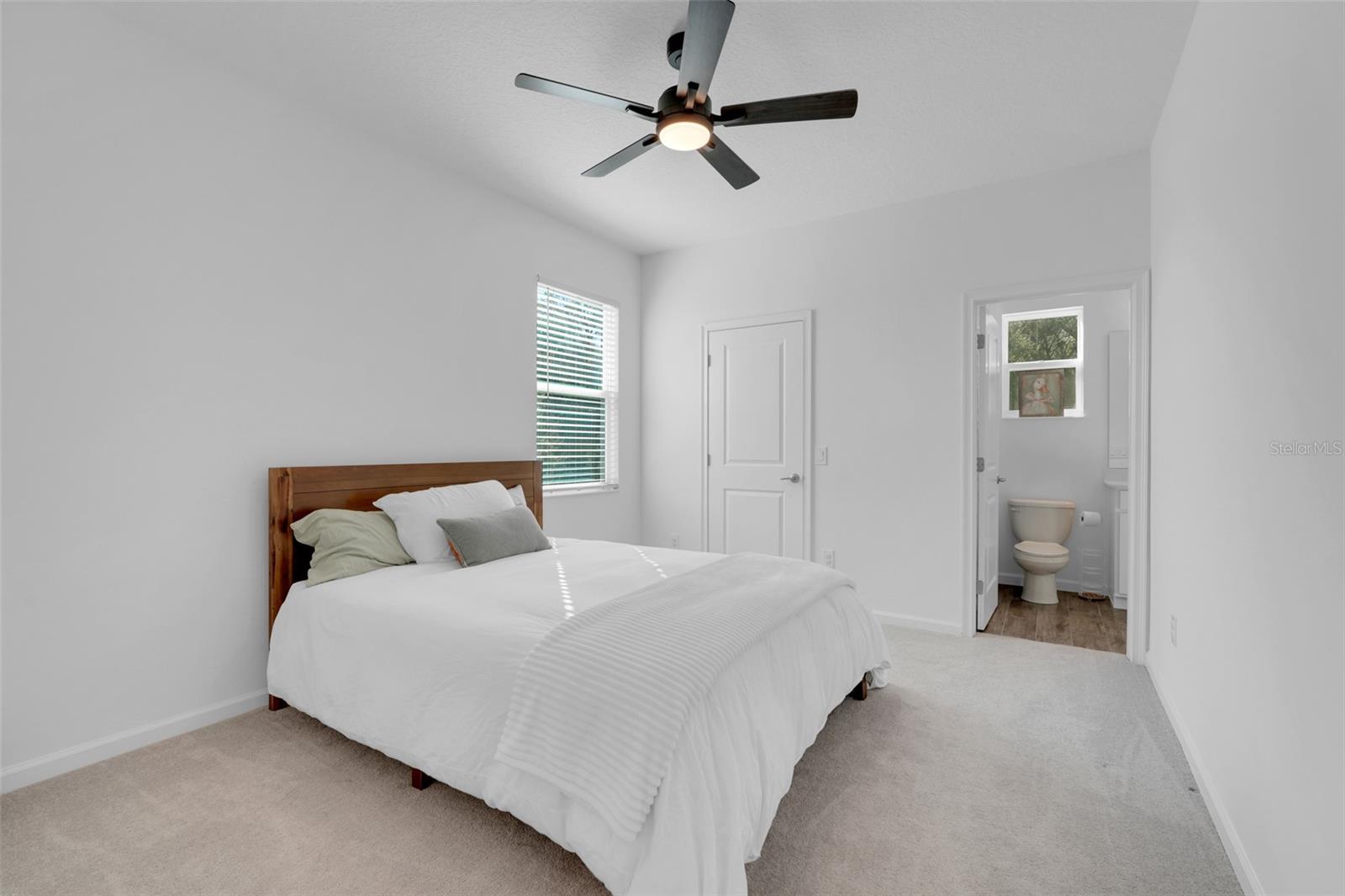 2385 SIRENA LN, MOUNT DORA, FL — photo 41