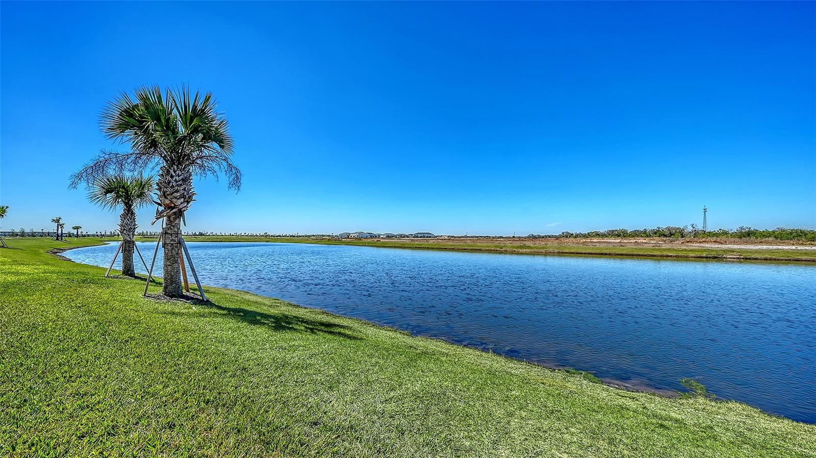 2118 SYLVESTER PALM LN, BRADENTON, FL — photo 44